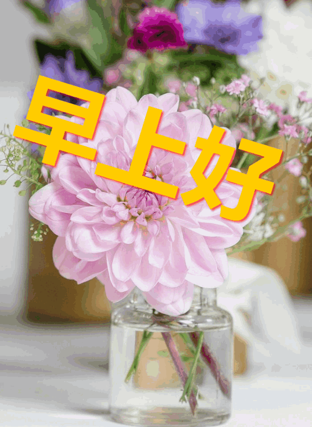 短信被锁住了怎么办？轻松解决方法大揭