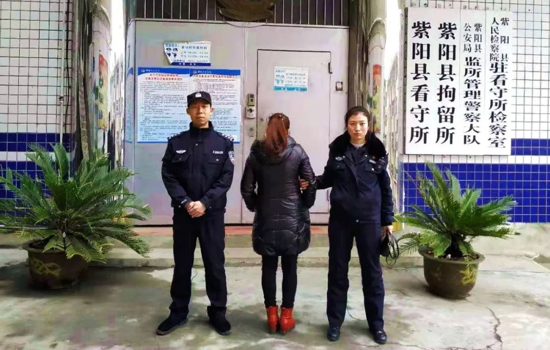 国际短信业务：跨越国界的沟通桥梁